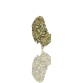 Budget Flower