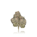 Premium Flower