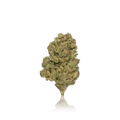 Bulk Premium