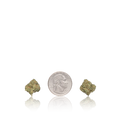 Exotic Smalls