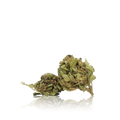 Bulk Budget