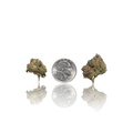Exotic Smalls