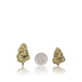 Budget Flower