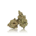 Exotic Flower