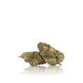 Budget Flower