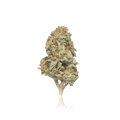 Budget Flower