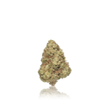 Budget Flower