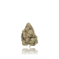 Premium Flower