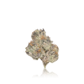 Exotic Flower