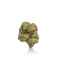 Bulk Budget