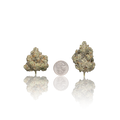 Premium Flower
