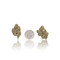 Exotic Flower