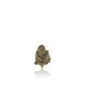 Xotic Flavorz Flower