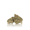 Budget Flower
