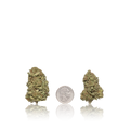 Bulk Budget