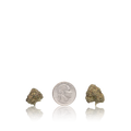 Premium Smalls