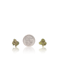 Exotic Smalls