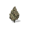 Exotic Flower