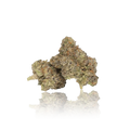 Exotic Flower