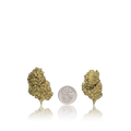 Budget Flower