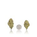 Premium Flower