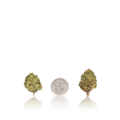 Budget Flower