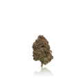Premium Indoor Flower