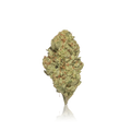 Premium Flower