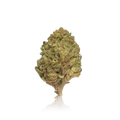 Budget Flower