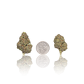 Premium Flower