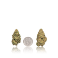 Budget Flower