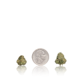 Exotic Smalls