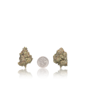 Premium Flower