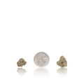Exotic Smalls