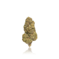 Budget Flower