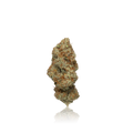 Exotic Flower