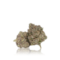 Exotic Flower