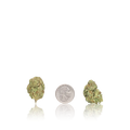 Value Flower