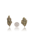 Premium Flower
