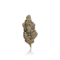 Premium Flower