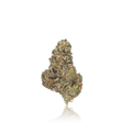Premium Indoor Flower