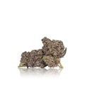 Exotic Flower