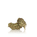 Budget Flower