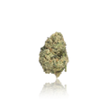 Premium Flower