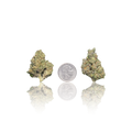 Budget Flower
