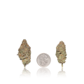 Value Flower