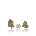 Bulk Budget
