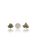 Exotic Smalls