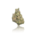 Budget Flower