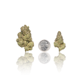 Exotic Flower